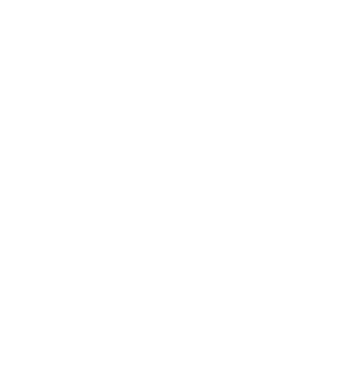 Cyber Sync