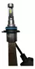 CREE LED MALLA METALICA H4 - Carcree Argentina