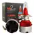 CREE LED MI2 OFERTA (ROJOS) 12v
