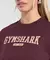 Collegiate Lifestyle Oversized T-Shirt en internet