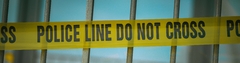 Banner de la categoría CRIMEN  THRILLER  MISTERIO. 