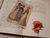 Pride and Prejudice collector's edition - HELLHOUSE BOOKS