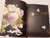 Pride and Prejudice collector's edition en internet