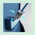 Cepillo de baño en internet