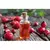 Oleo vegetal de Rosa mosqueta PF - comprar online