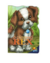 Livro Animais Recortados - Todo Livro na internet