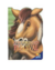 Livro Animais Recortados - Todo Livro - Papelaria Aquarella