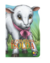 Imagem do Livro Animais Recortados - Todo Livro