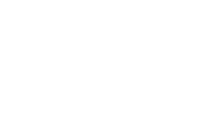 LYON STORE