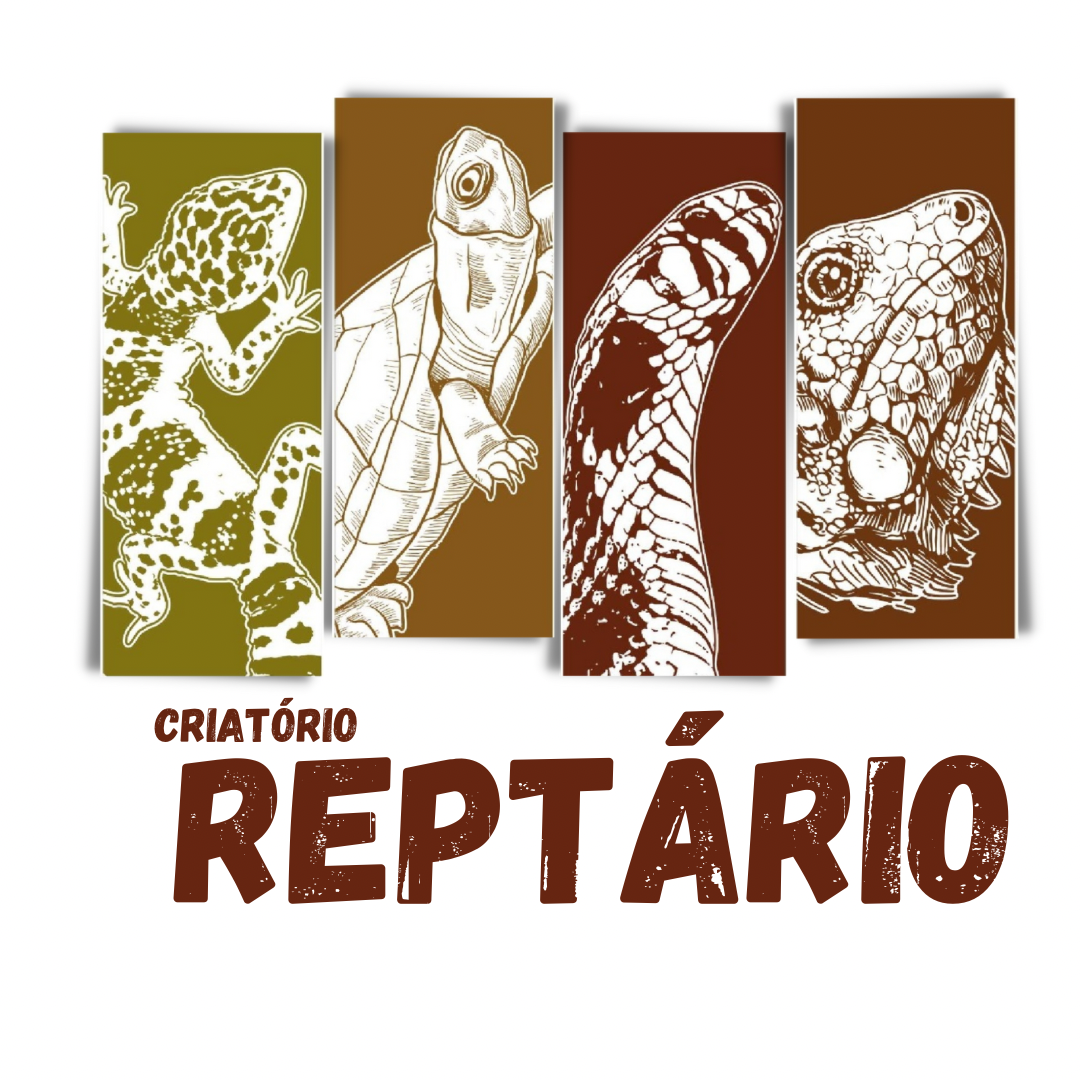 CRIATÓRIO REPTÁRIO