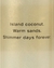 Body Splash Coconut Passion Shimmer - 250ml - comprar online