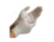 Guantes de latex SIN POLVO caja x 100 unidades (TALLE A ELECION) - comprar online