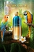 0590N / Tropical Wood Montale na internet