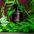 2694N / Promise Frederic Malle na internet