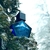 2554N / L'Air Des Alpes Suisses Tauer Perfumes - A Império Premium