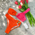 Bikini: Naranja & Rosa