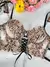 Conjunto de 2 piezas: Flores de Leopardo