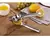 Exprimidor Citricos Acero Inoxidable - GSGASTROSHOP