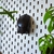 Imagem do Suporte para Mouse Pegboard