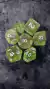 Set de 7 dados glitter rosa y verde (GL09)