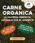 Carrusel 2