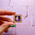 Pin marco Speak Now