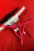 CALCINHAS VARIADAS - Prince Adult Store