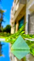 Image of GREEN QUARTZ ENERGY PYRAMID