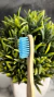 SOFT BRISTLE TOOTHBRUSH