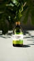ALOE VERA JUGO MAXIMA DEFENAS 500CC - comprar online