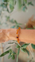 AMBER SCALP BRACELET - buy online