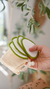 PADS DESMAQUILLANTES - comprar online