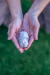 SMALL CRYSTALLIZED AGATE GEODE - buy online