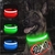¡POMO 2x1! Collar LED para mascotas