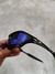 SPLICE AZUL na internet