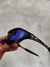 SPLICE AZUL LEVE 2 na internet