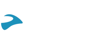 Cardo Argentina