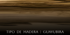 Banner de la categoría Guayubirá 