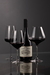 MERLOT GRAN RESERVA 2022 - comprar online