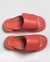 FLAT NAT CORAL na internet