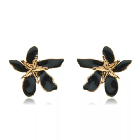 Brinco Banhado A Ouro Com Esmaltação Preta