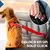 Cinturon De Seguridad Regulable - Cuida A Tu Perro - comprar online
