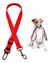 Cinturon De Seguridad Regulable - Cuida A Tu Perro