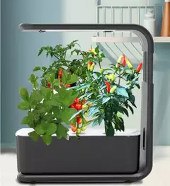 Mini Jardín Interior Cultivo Hidropónico Autoplant™ - Plantas Saludables sin Preocupación en internet