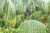 Belezas Brasileiras - loja online