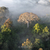 LANÇAMENTO Livro Amazônia - comprar online