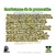 4. Promocion Pulguero en internet
