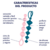 SATISFYER LOVE BEADS - Prazeres Sexshop | Since 1986