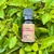 Óleo Essencial Palmarosa - 10 ml