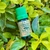 Óleo Essencial Cipreste - 10 ml